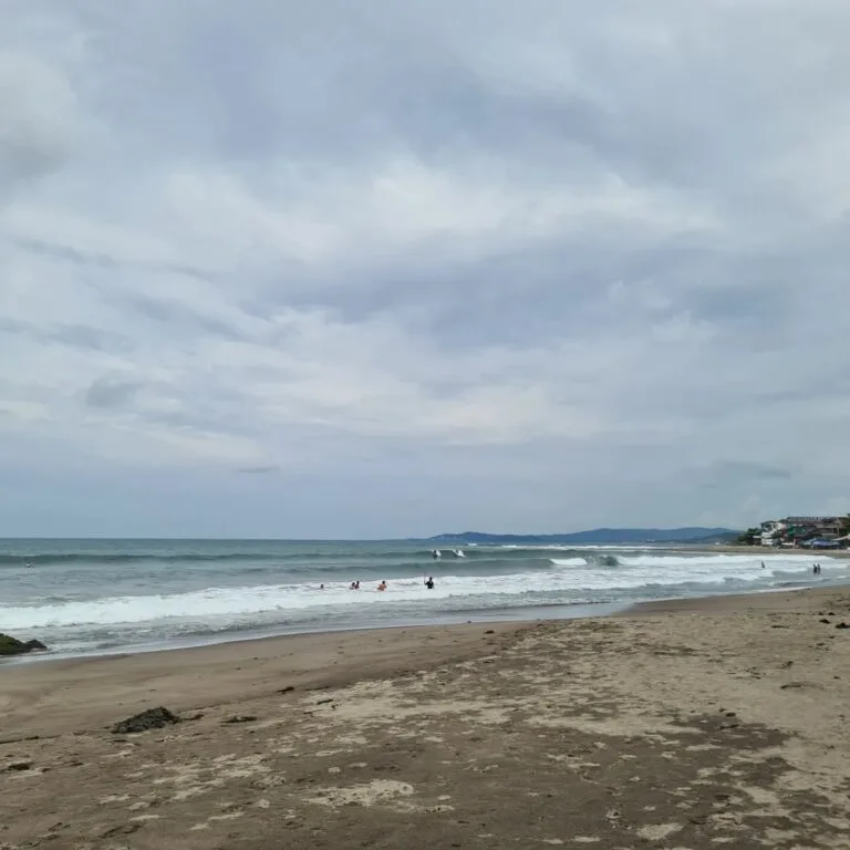 elyu la union