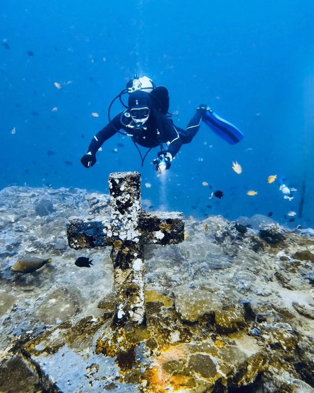 Anilao Batangas Free Diving