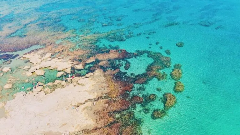 elyu la union