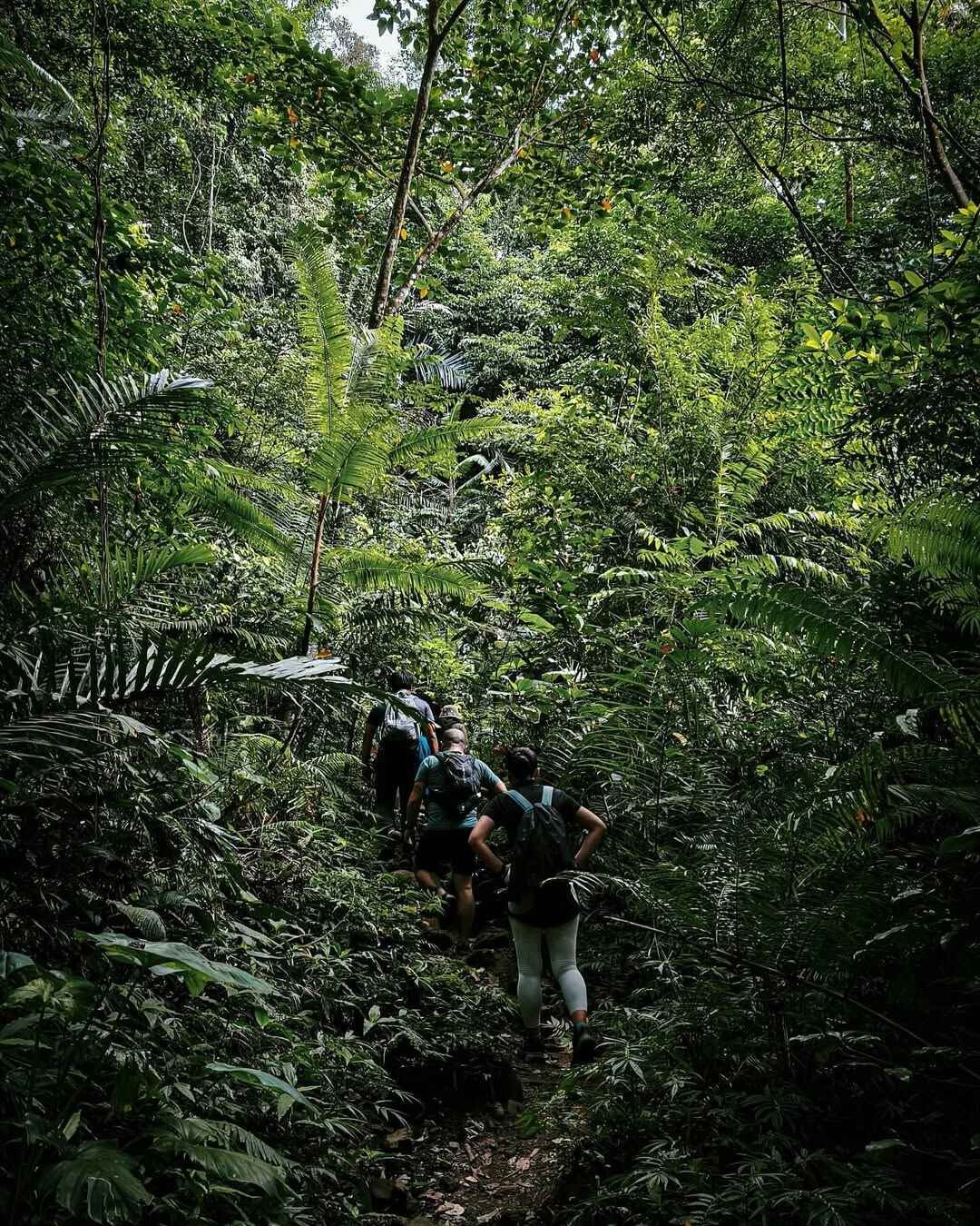 mt makiling