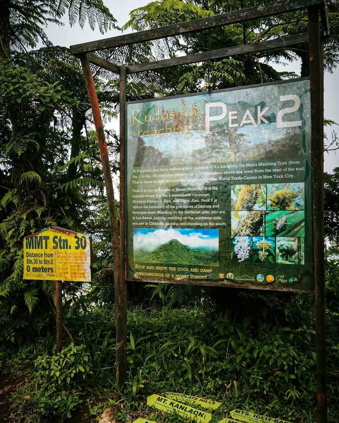 mt makiling