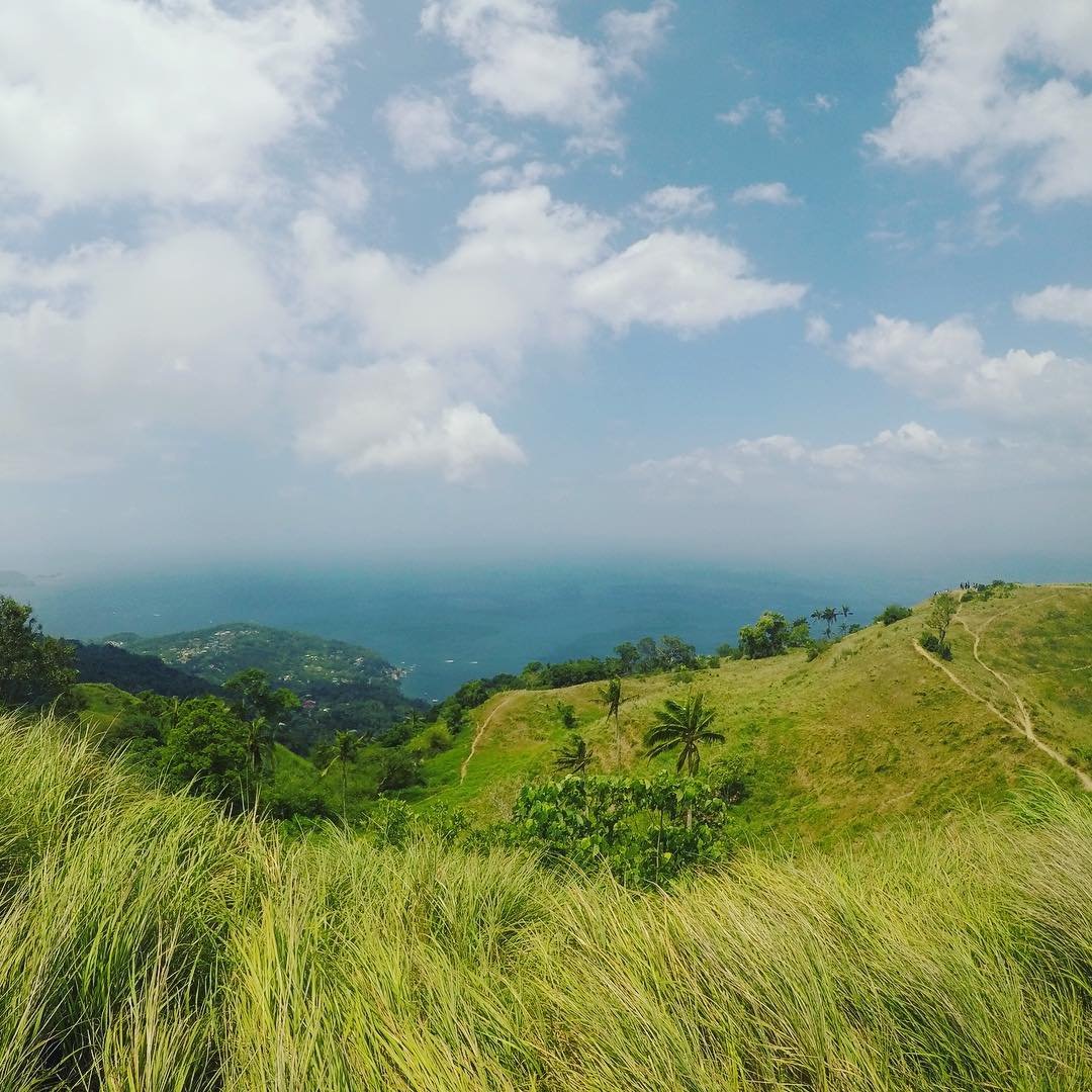 mt. gulugod baboy