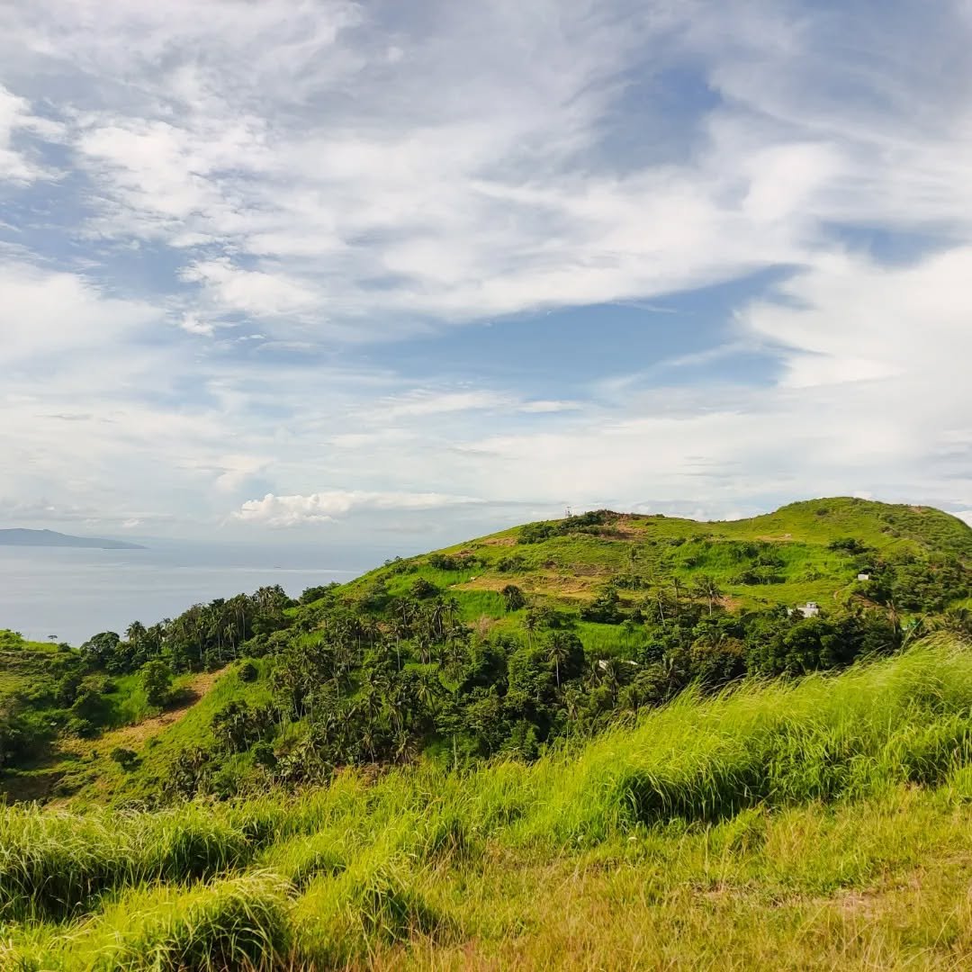 mt. gulugod baboy