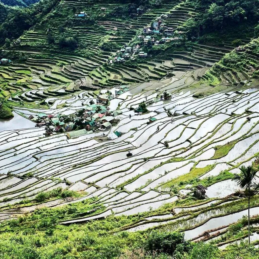 banaue rice terraces ifugao Photos