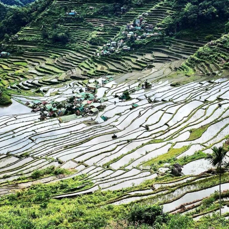 banaue rice terraces ifugao Photos