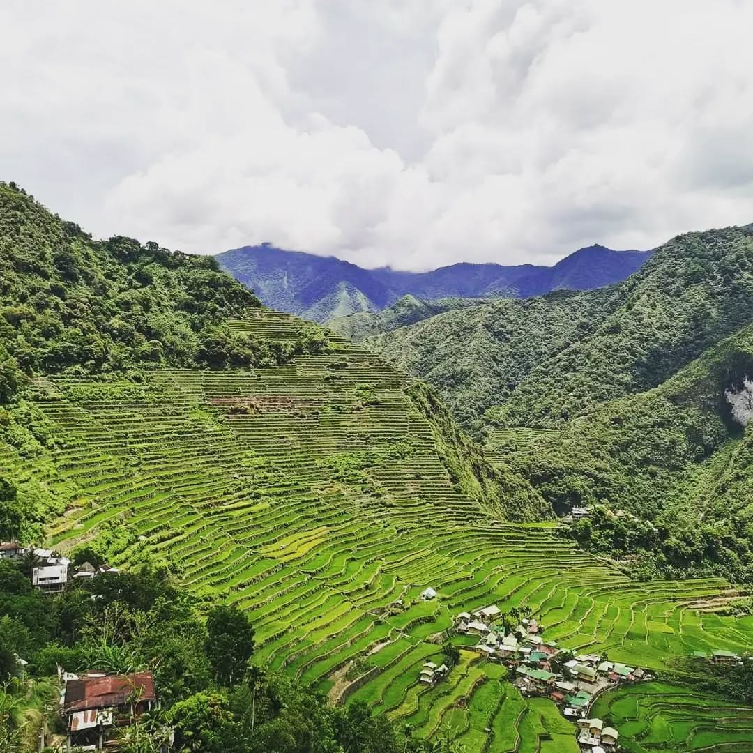banaue rice terraces ifugao Photos