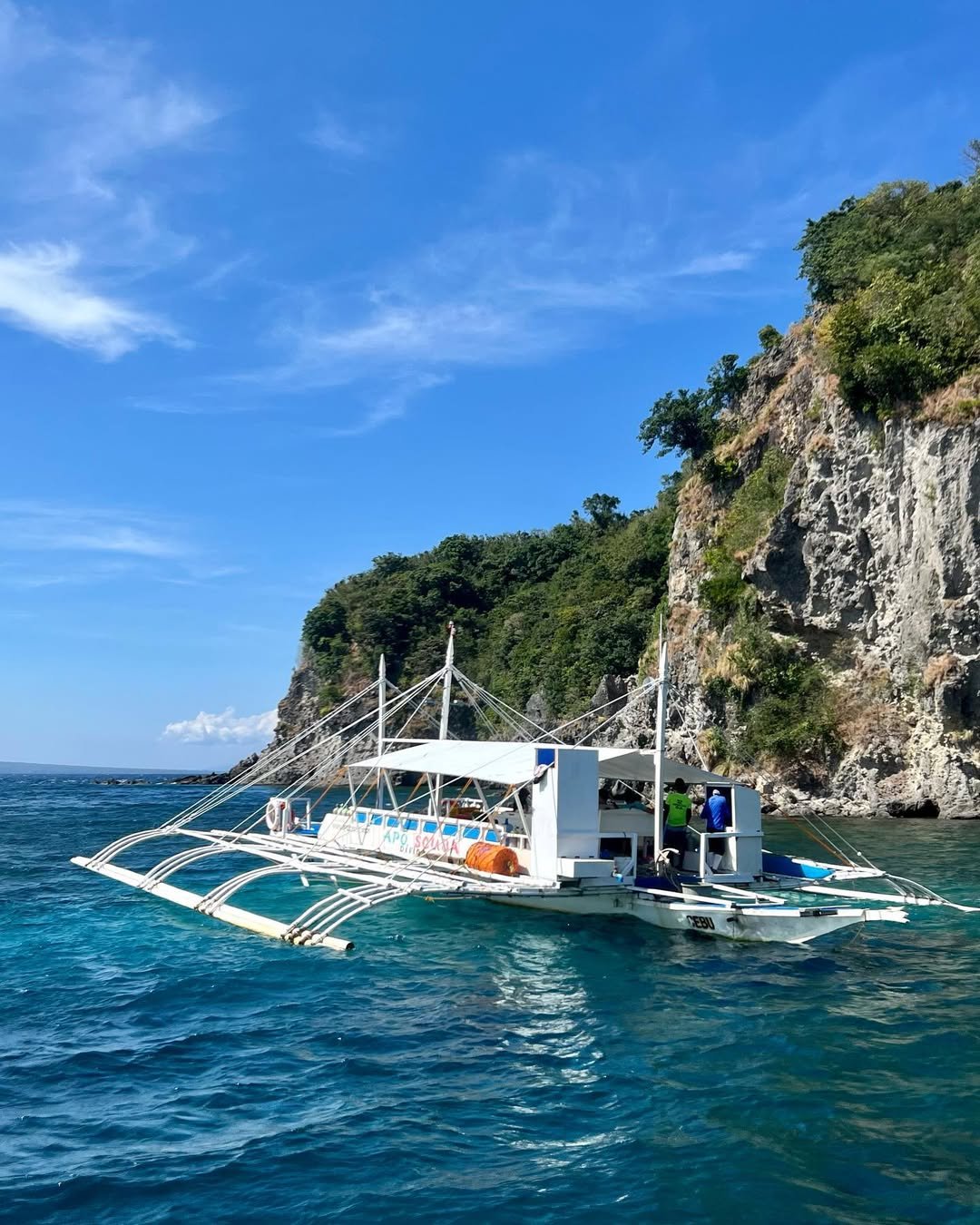 apo island photo