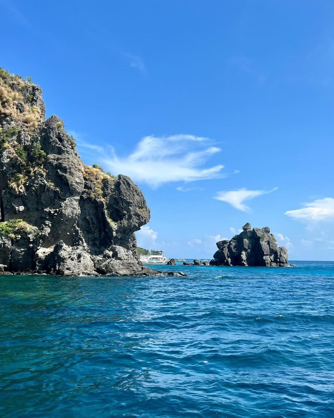 apo island photo