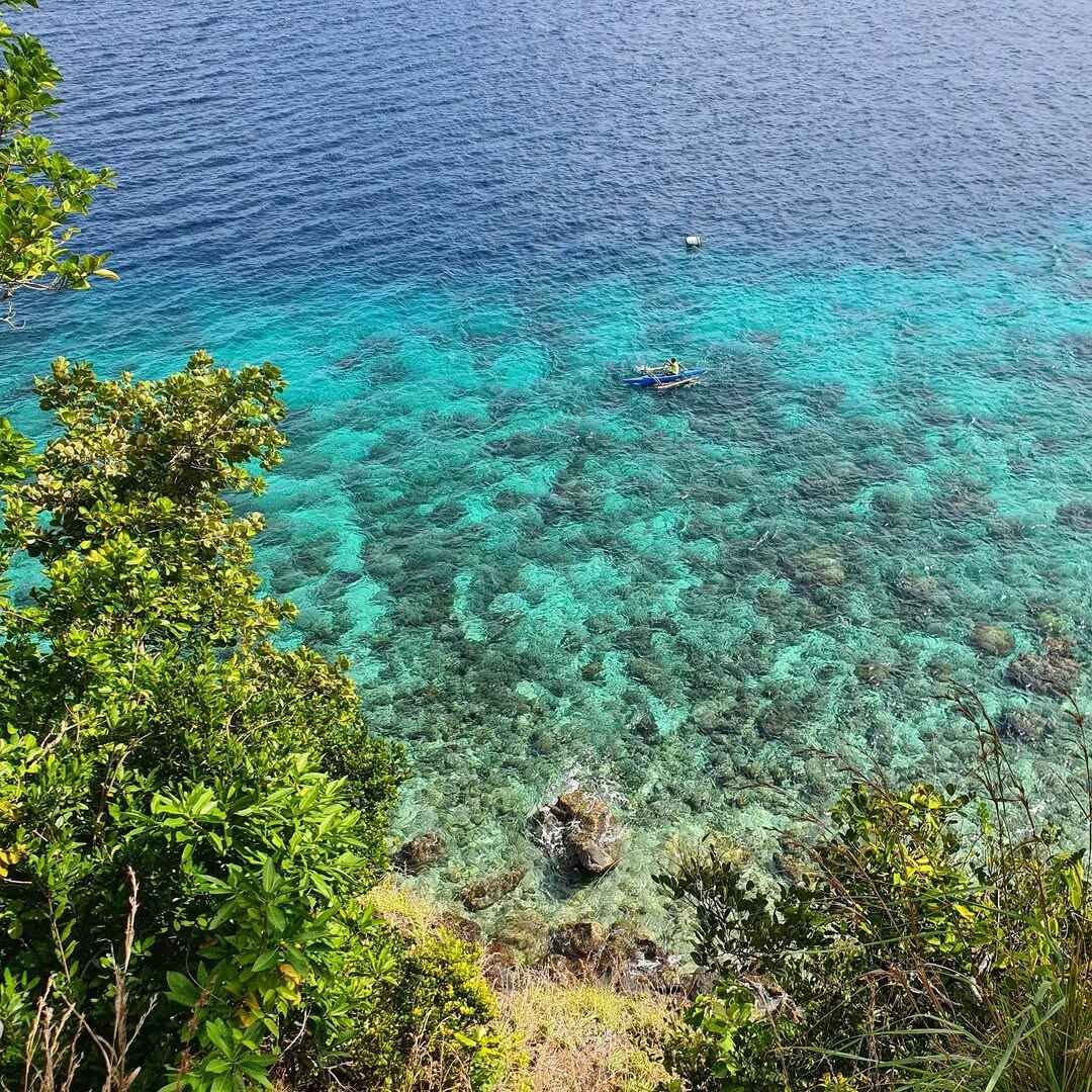 apo island photo