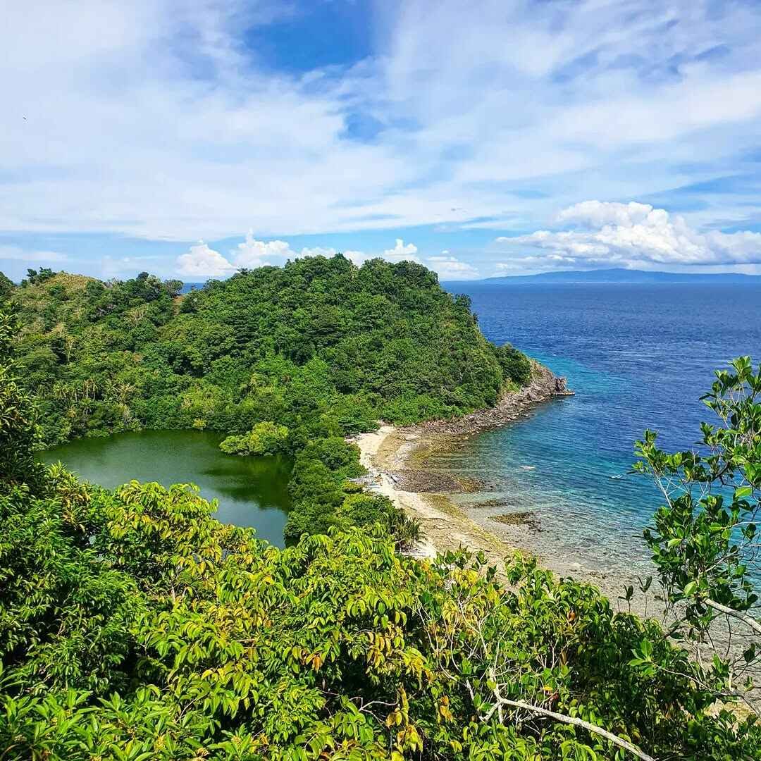 apo island photo