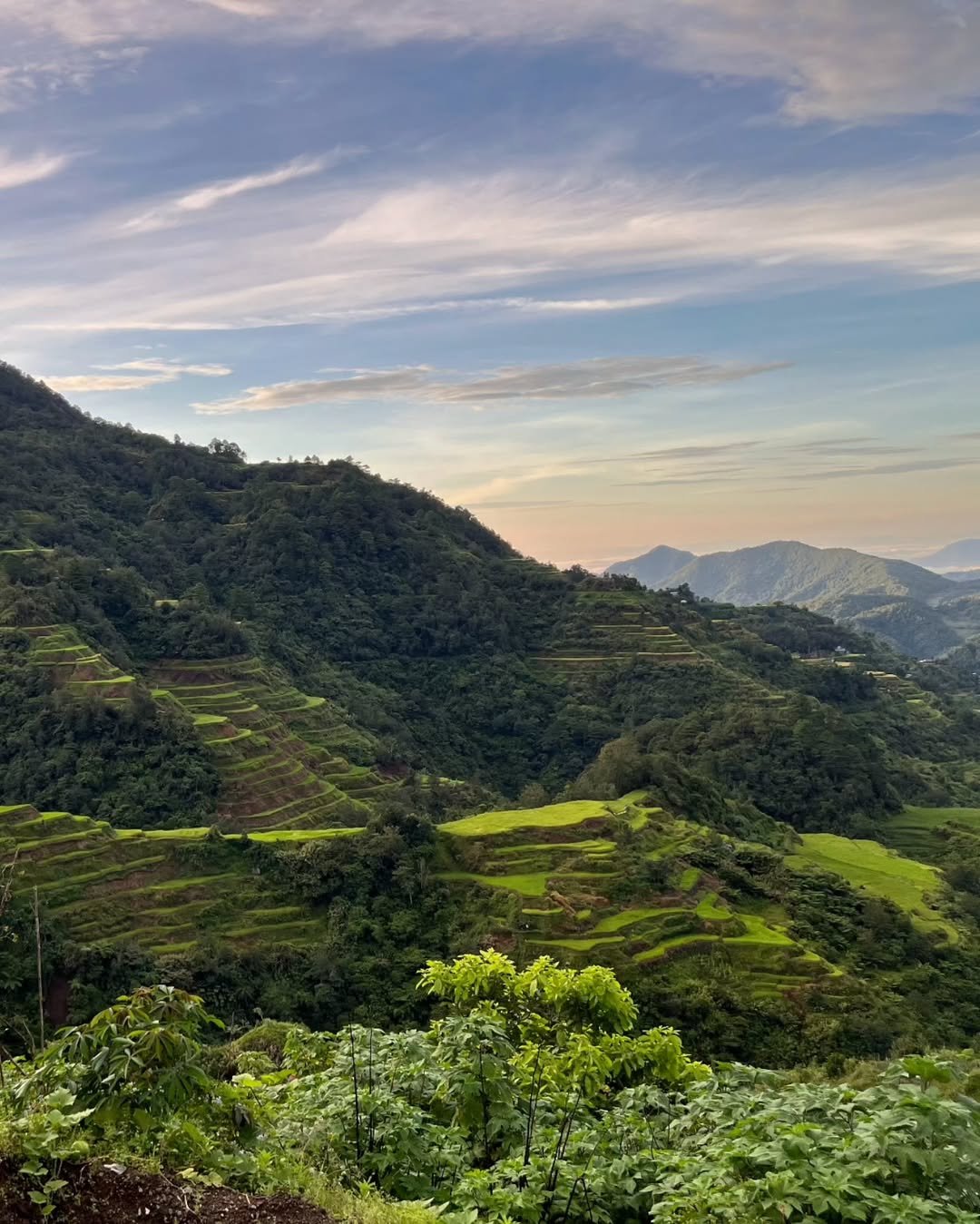 banaue rice terraces ifugao Photos