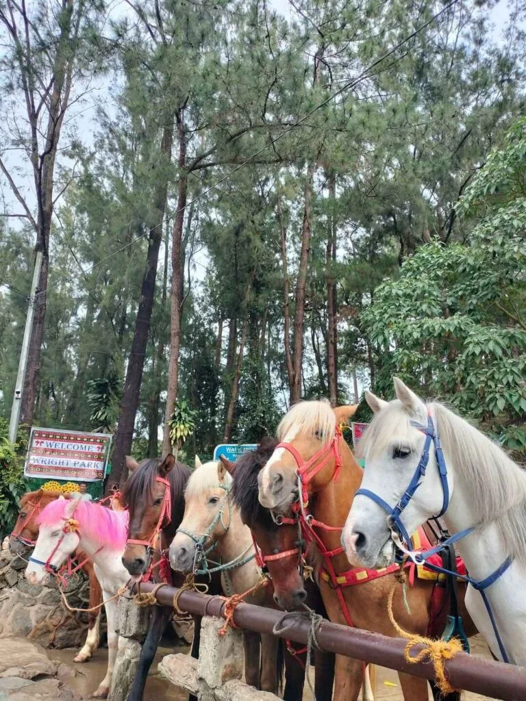 Wright Park Baguio City