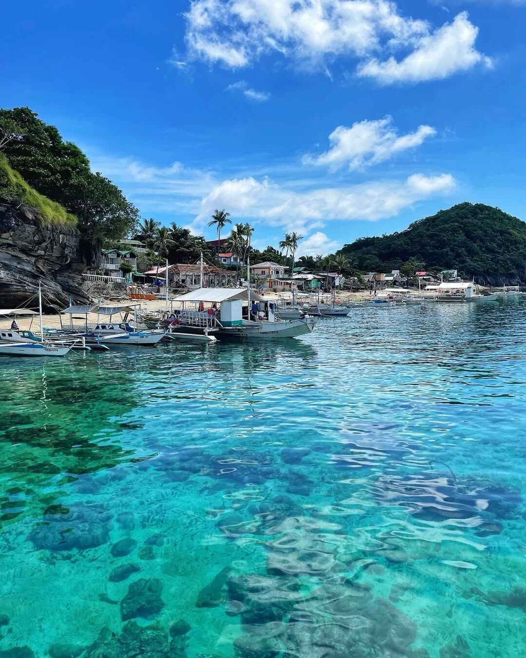 apo island photo