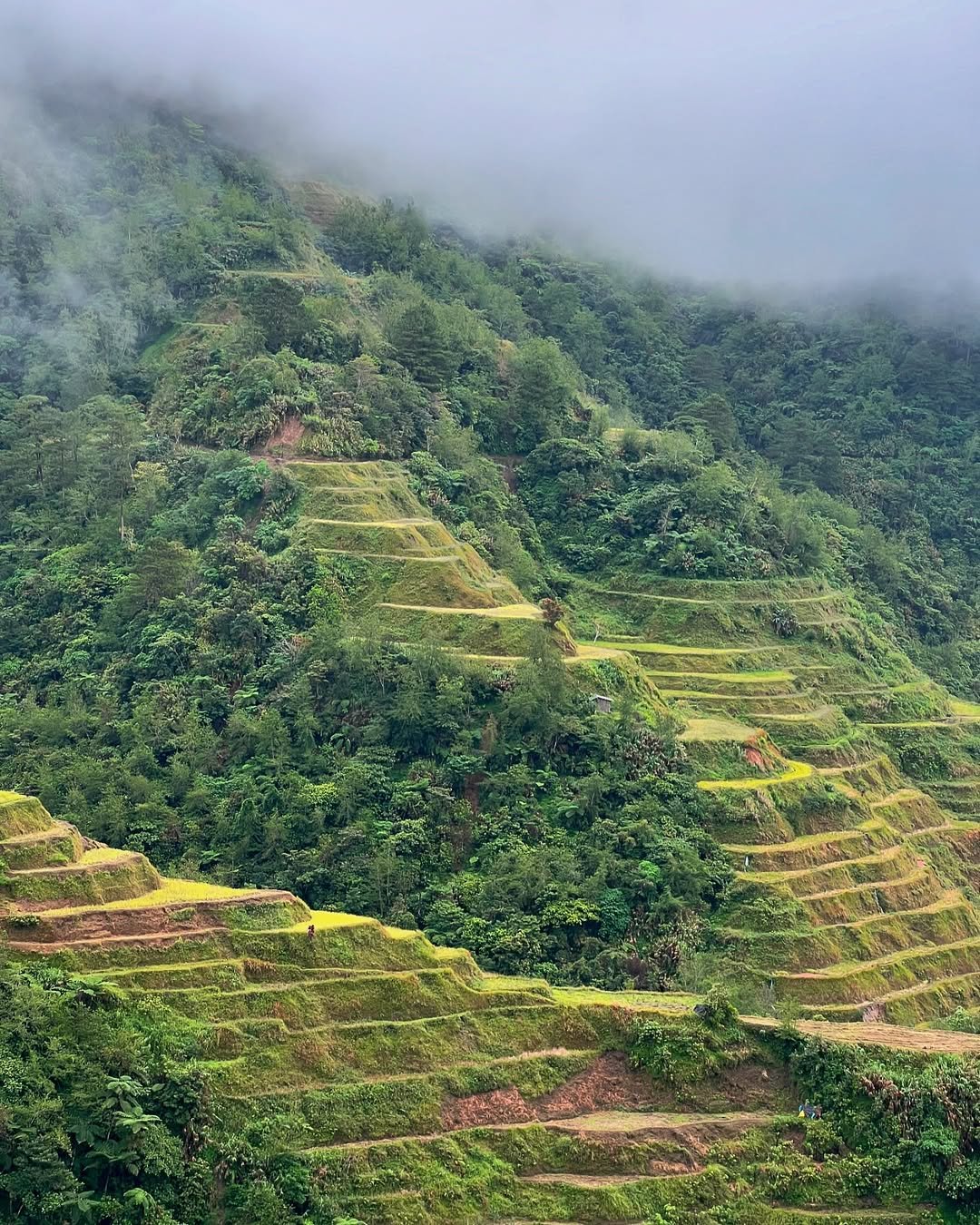 banaue rice terraces ifugao Photos