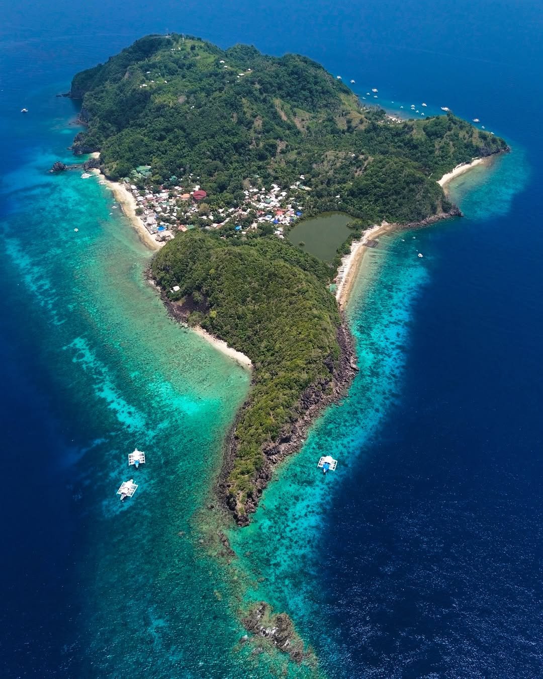 apo island photo