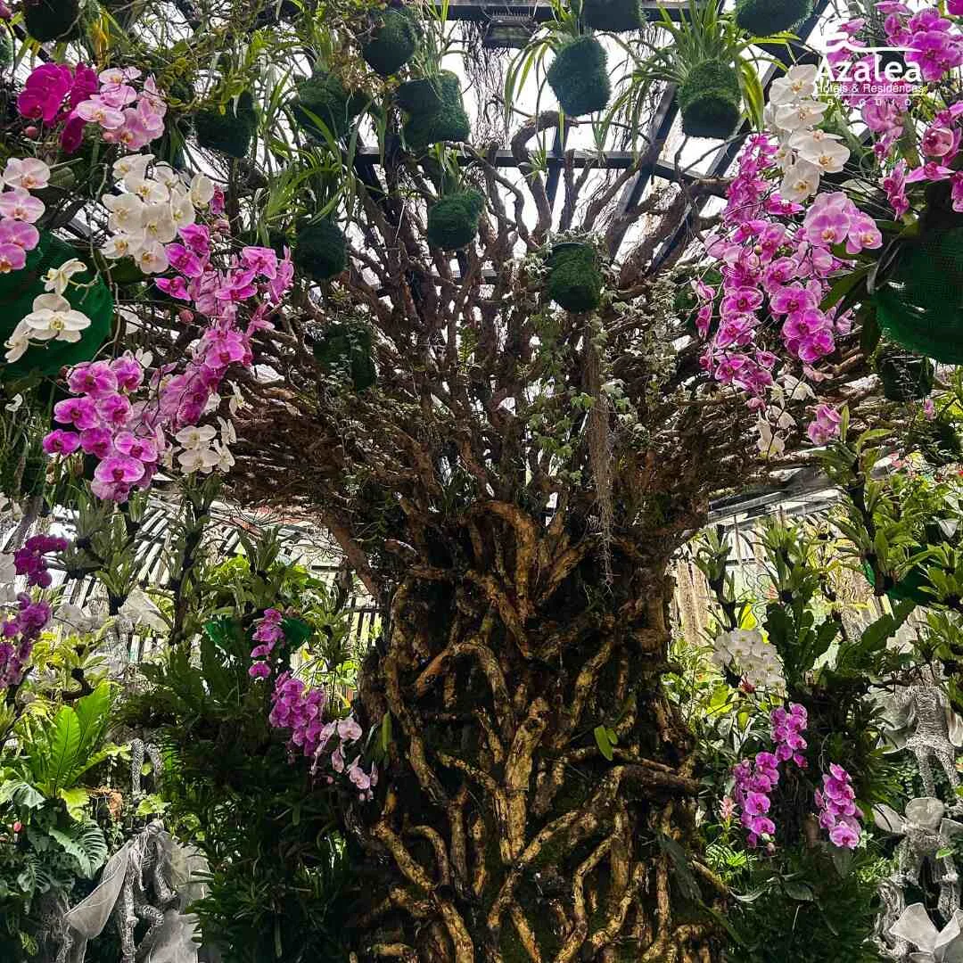 ORCHIDARIUM