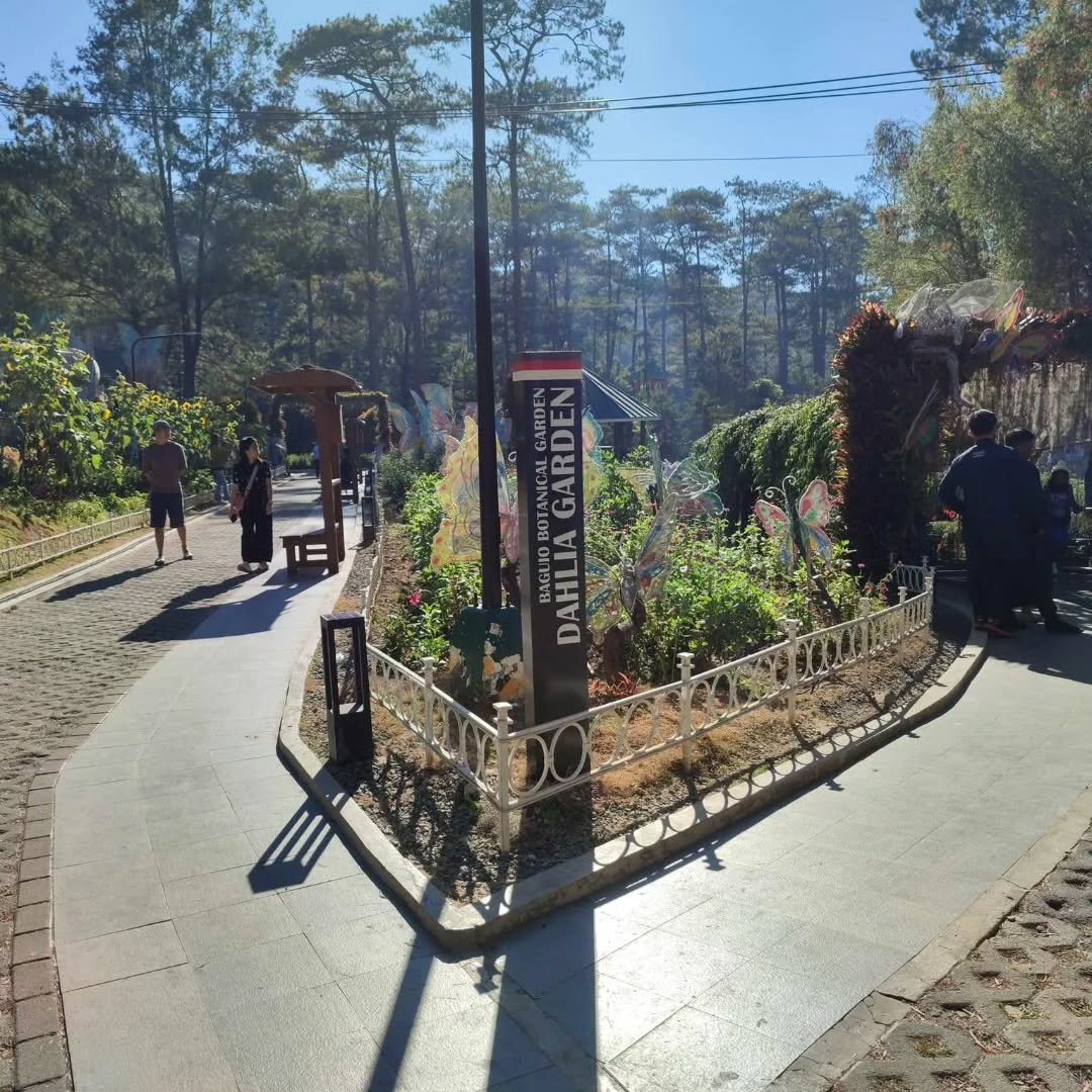 botanical garden baguio photo