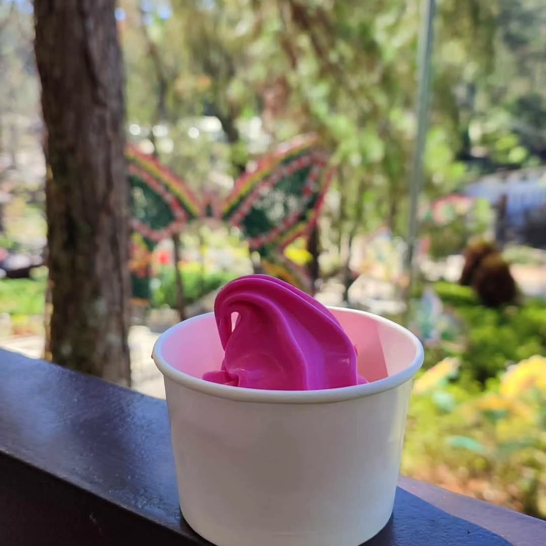 botanical garden baguio photo
