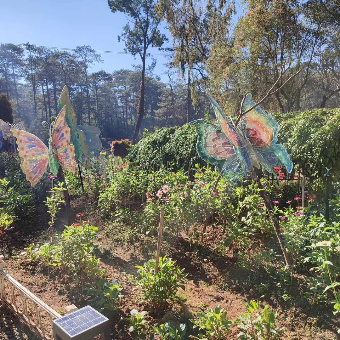 botanical garden baguio photo