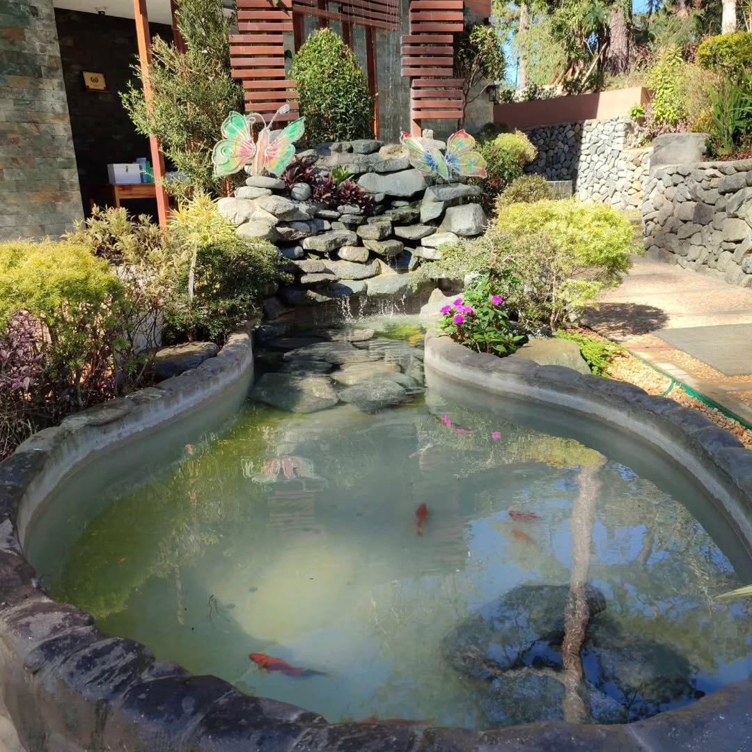 botanical garden baguio photo