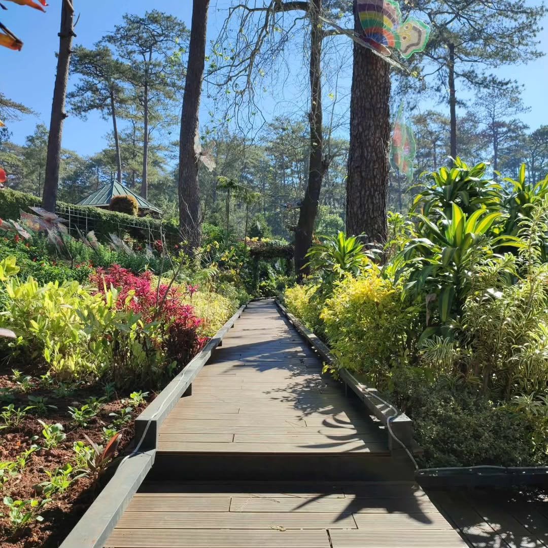 botanical garden baguio photo