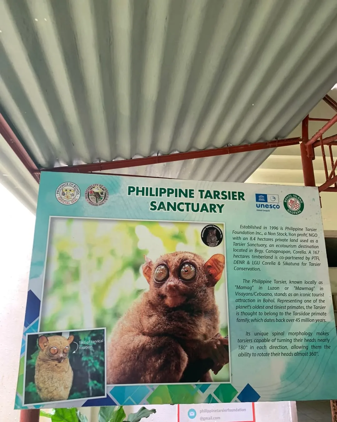 Tarsier Sanctuary in Corella Bohol