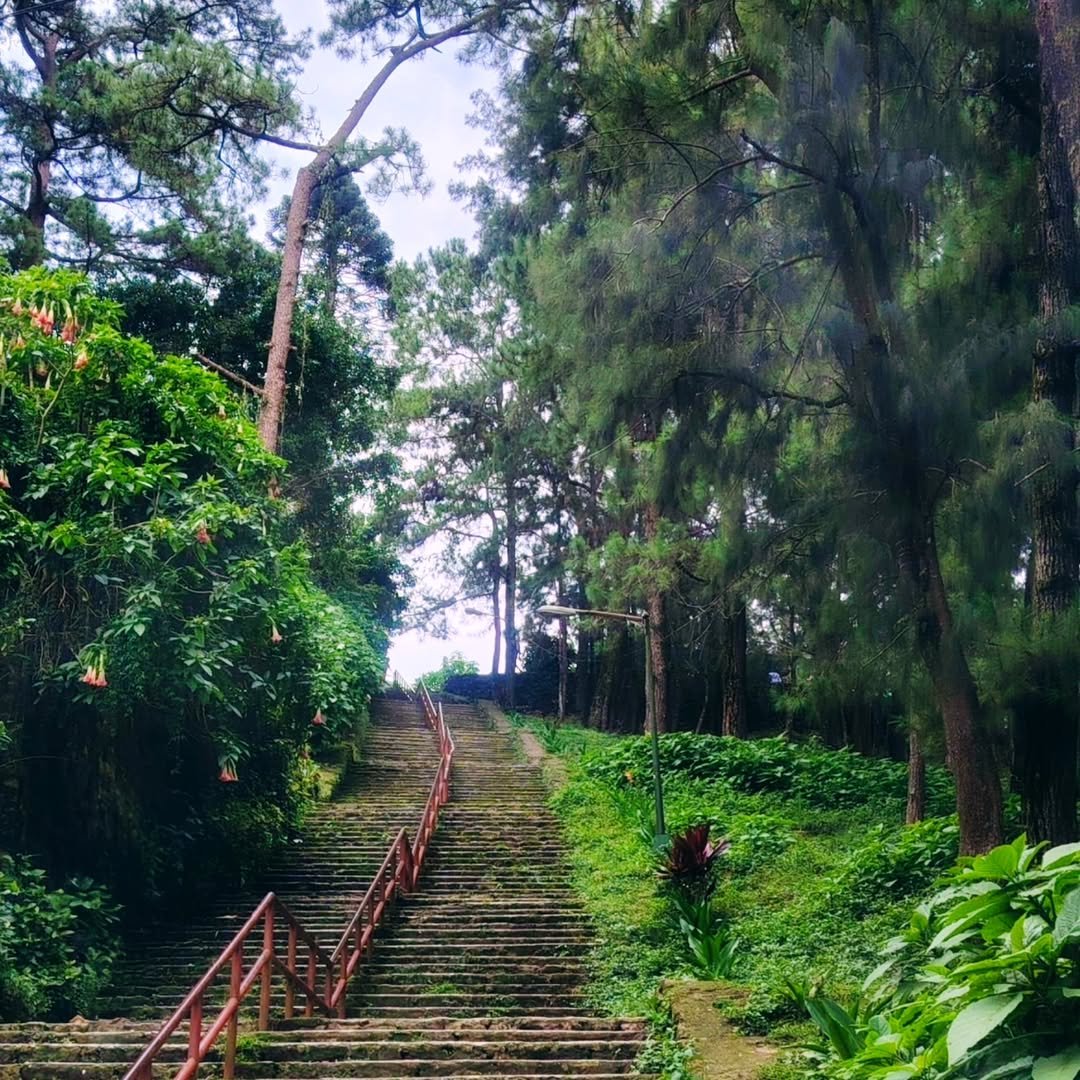 wright park baguio