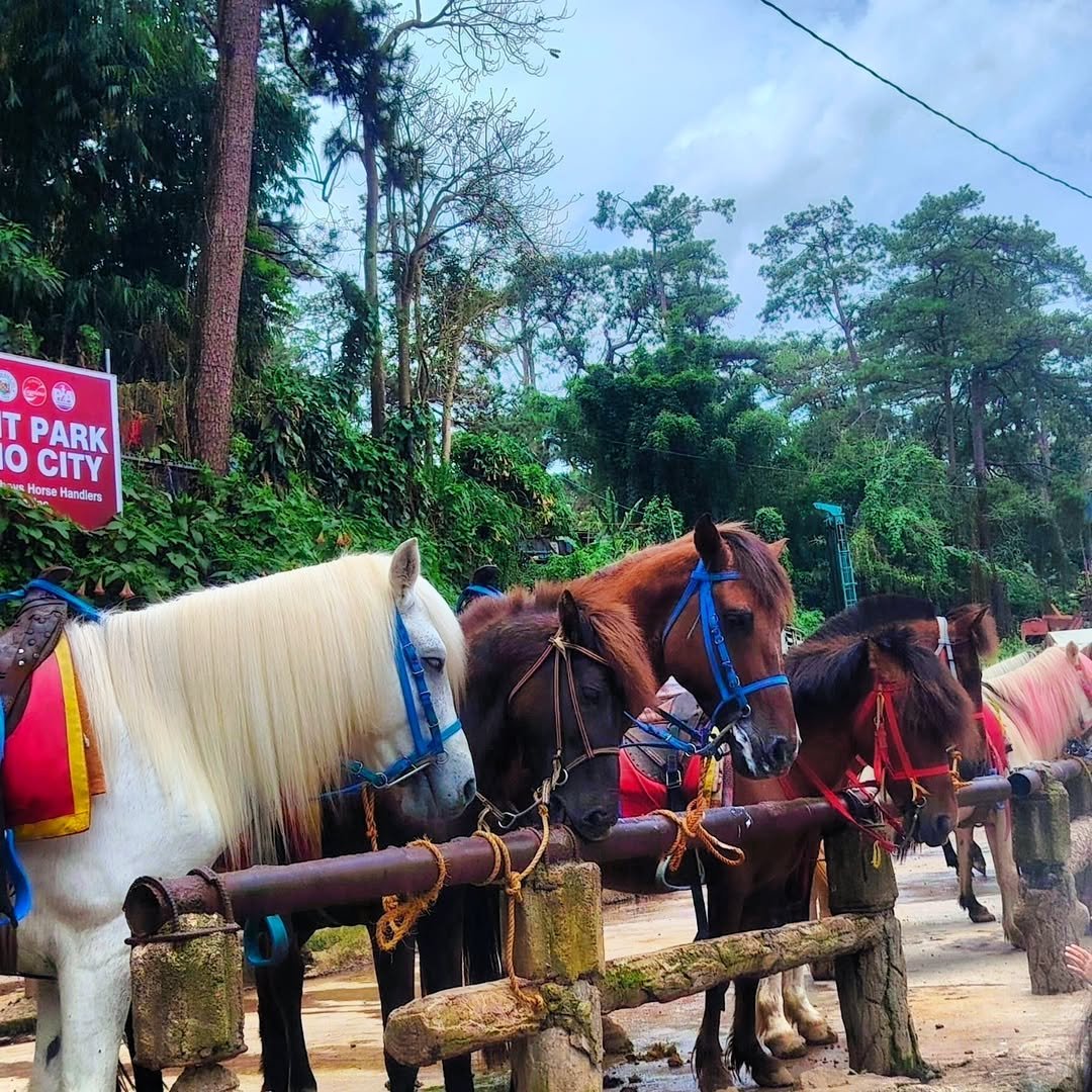 wright park baguio