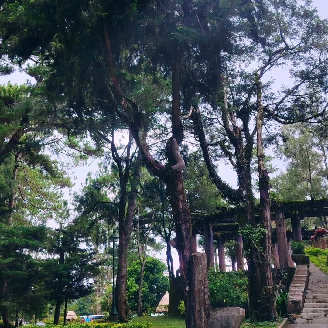 wright park baguio