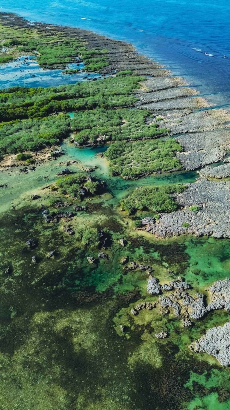 Immuki Island Photo