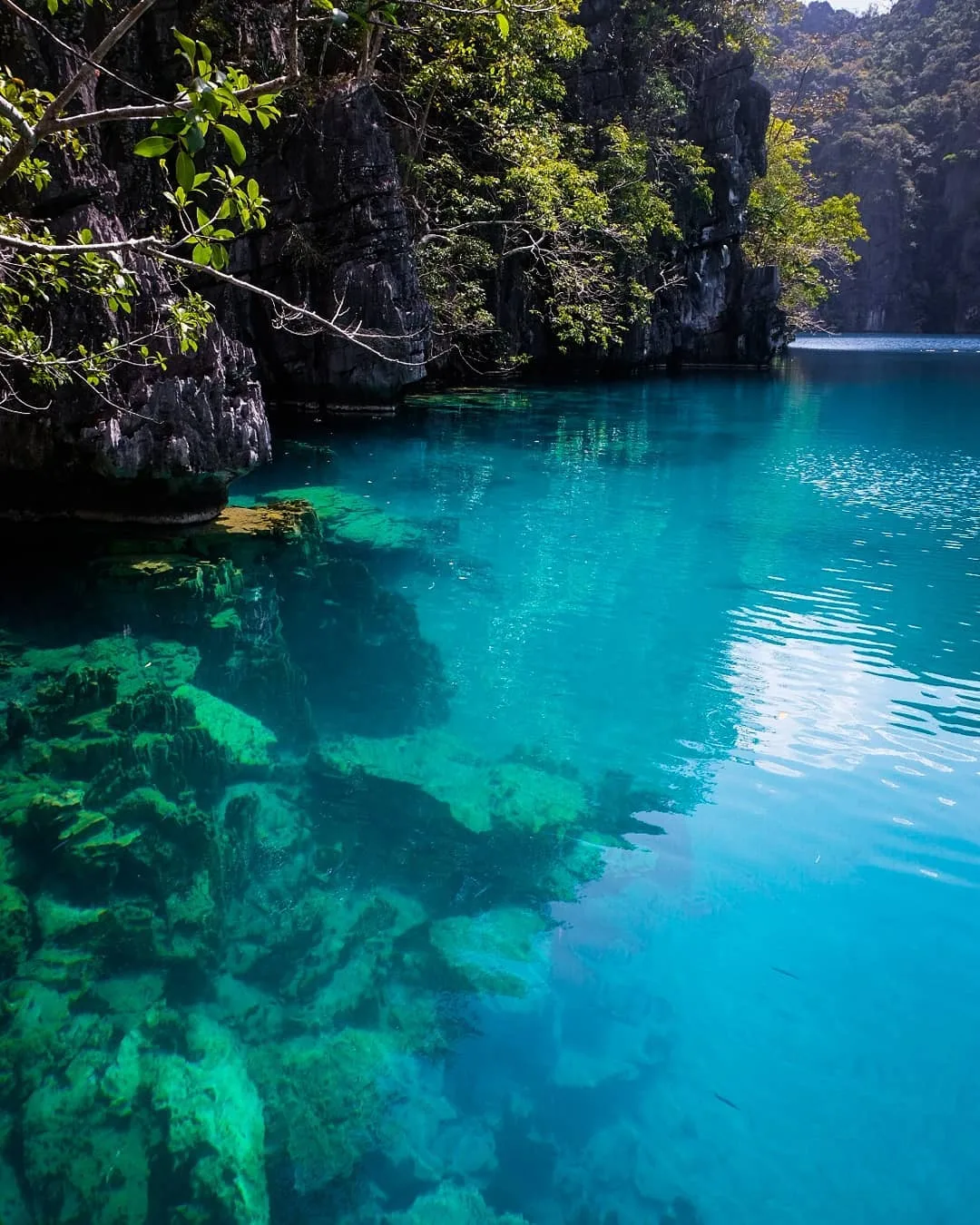 Kayangan Lake coron palawan photo