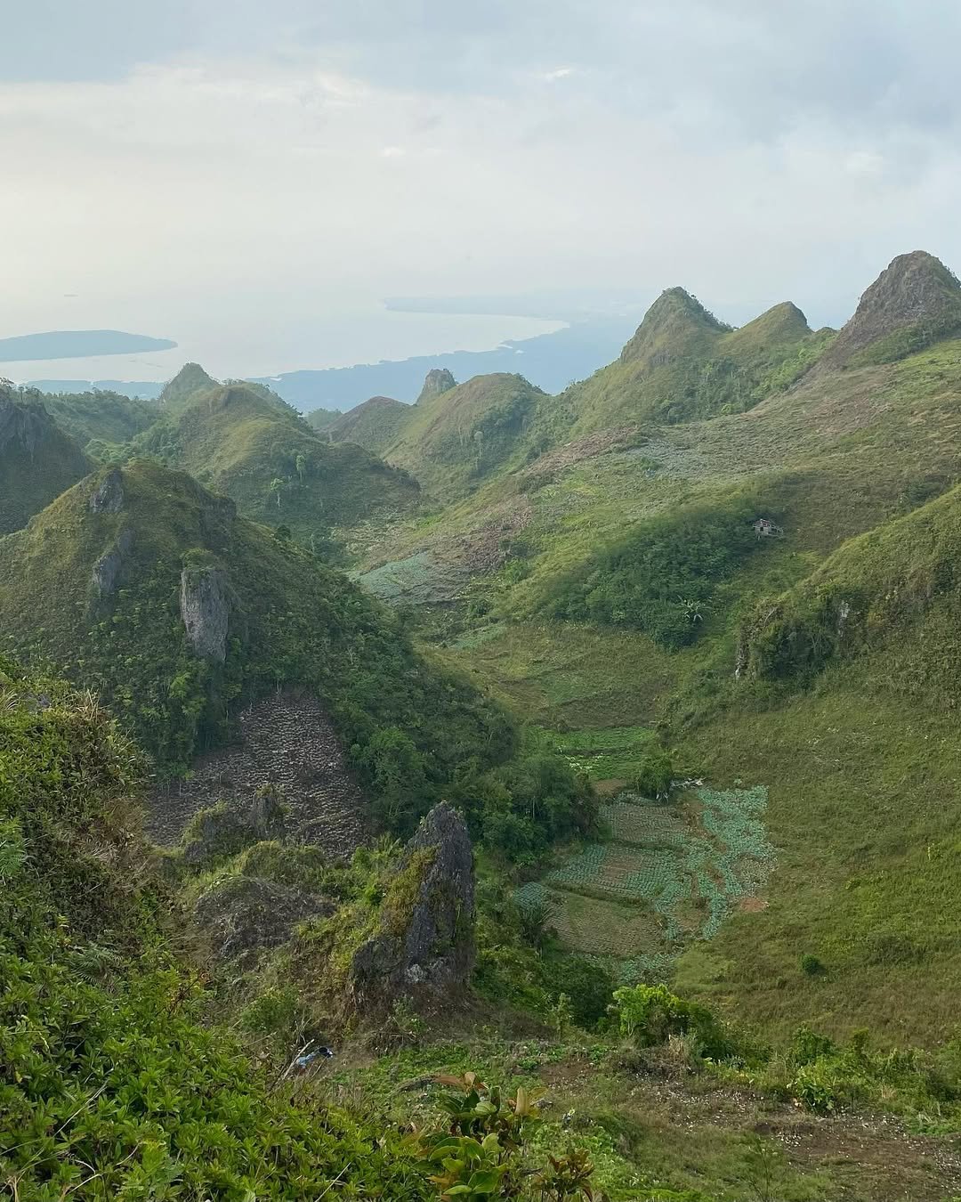 osmeña peak
