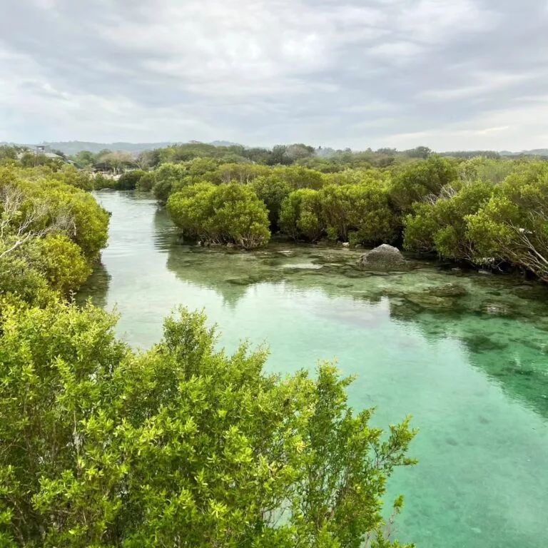 Immuki Island Photo