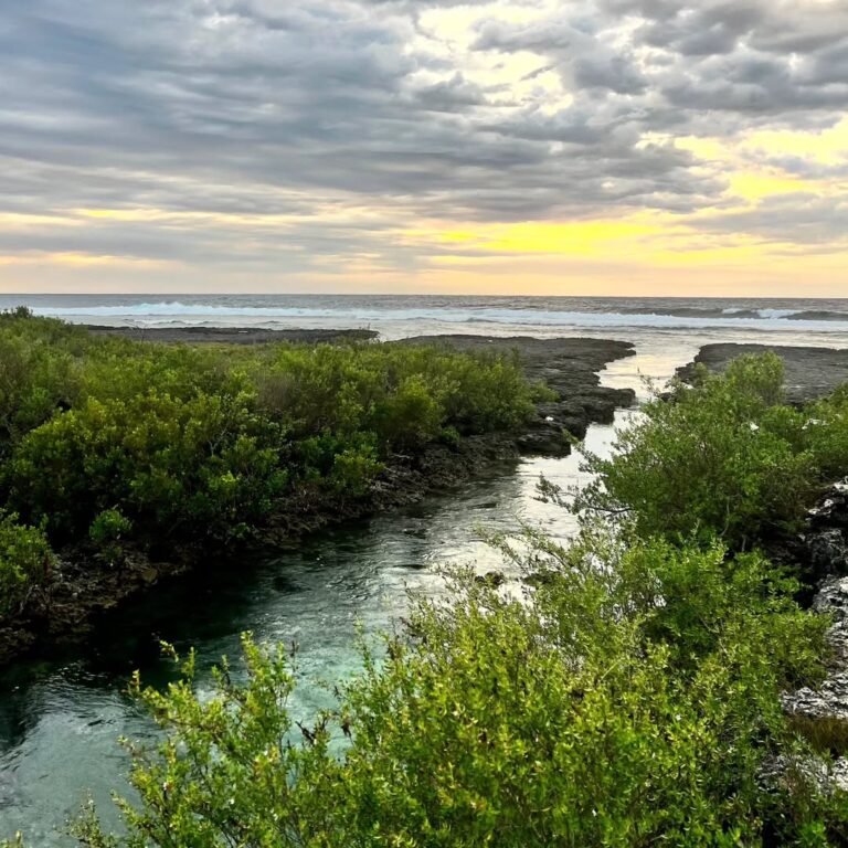 Immuki Island Photo