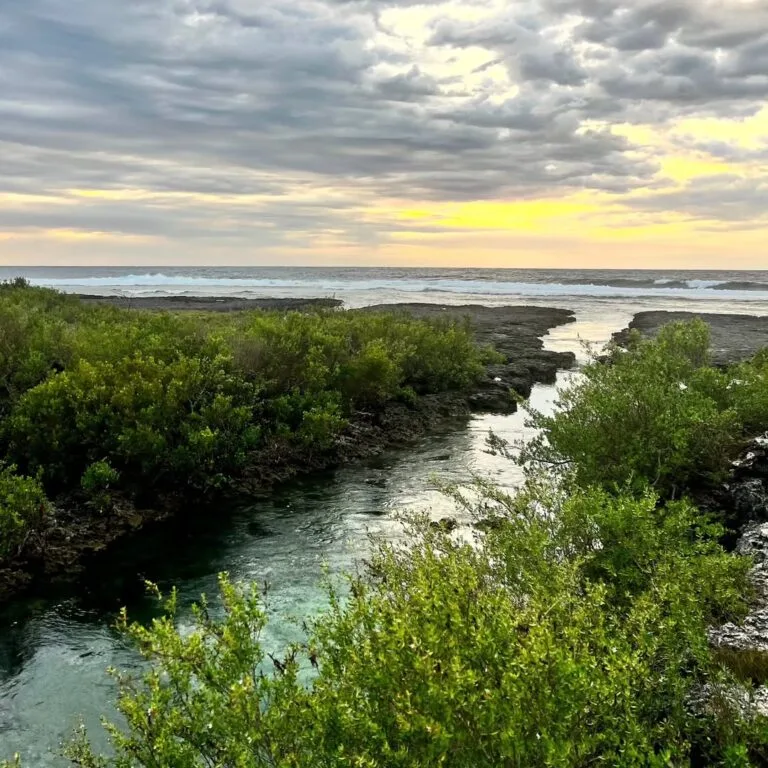 Immuki Island Photo
