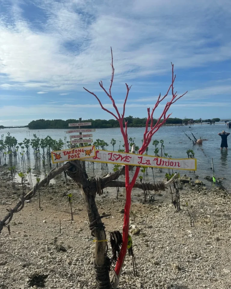 Immuki Island Photo