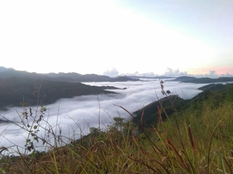 mt. lilid sea of clouds