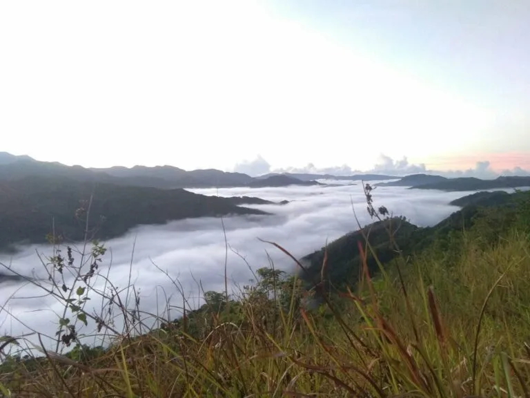 mt. lilid sea of clouds