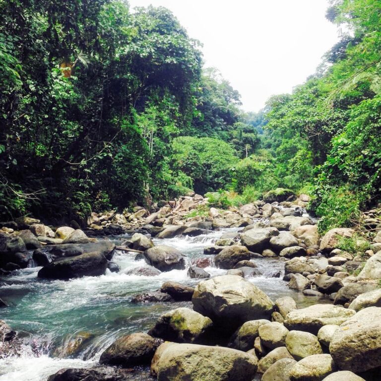 Majayjay falls photo