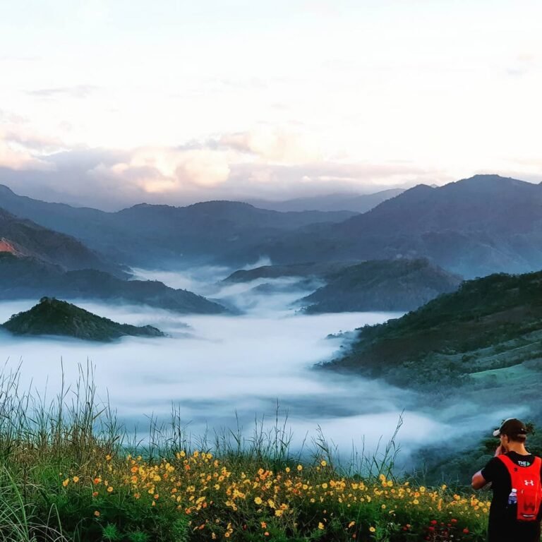 mt. alapaap sea of clouds