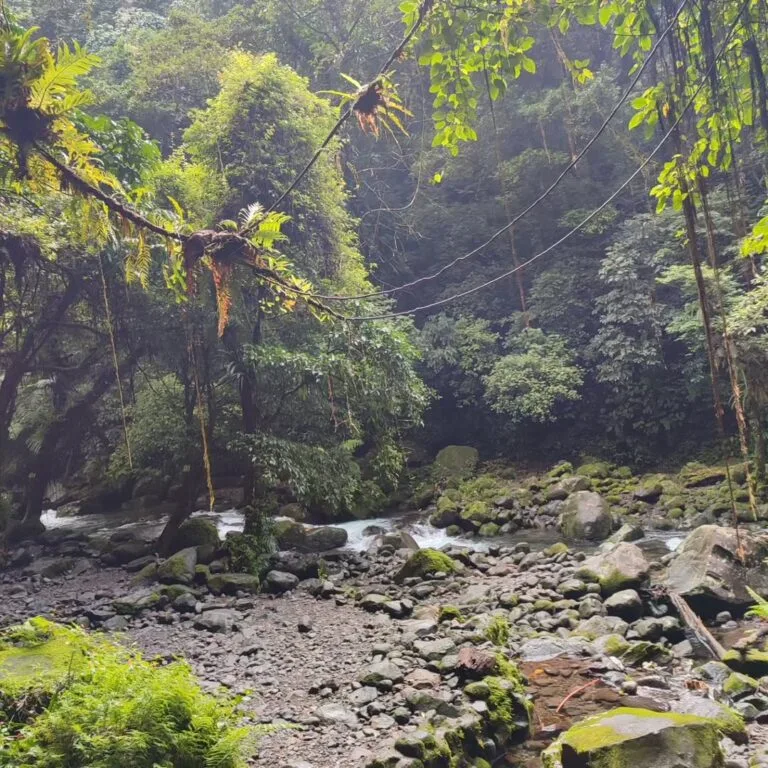 Majayjay falls photo