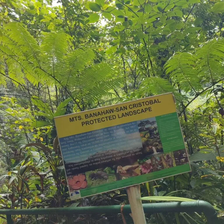 Majayjay falls photo