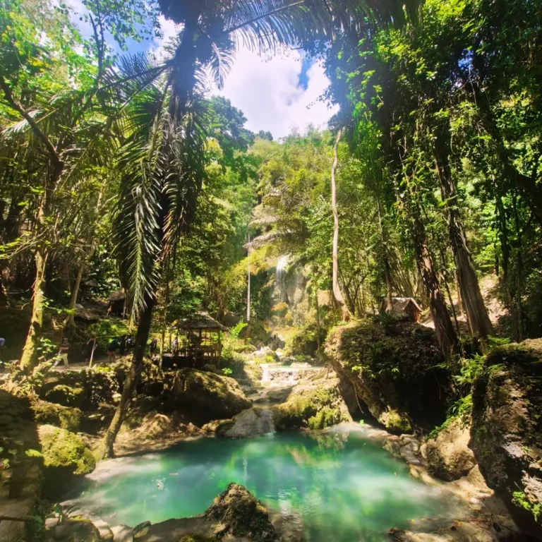 Tumalog Falls Photo