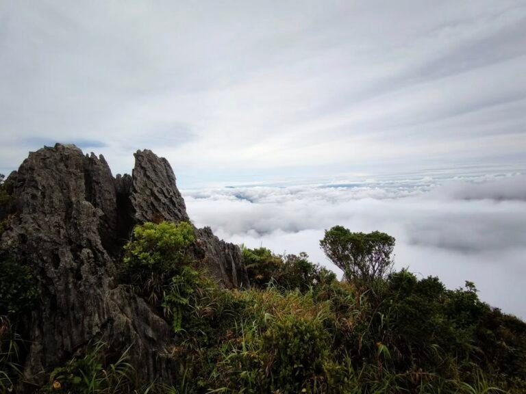 mt. irid sea of clouds