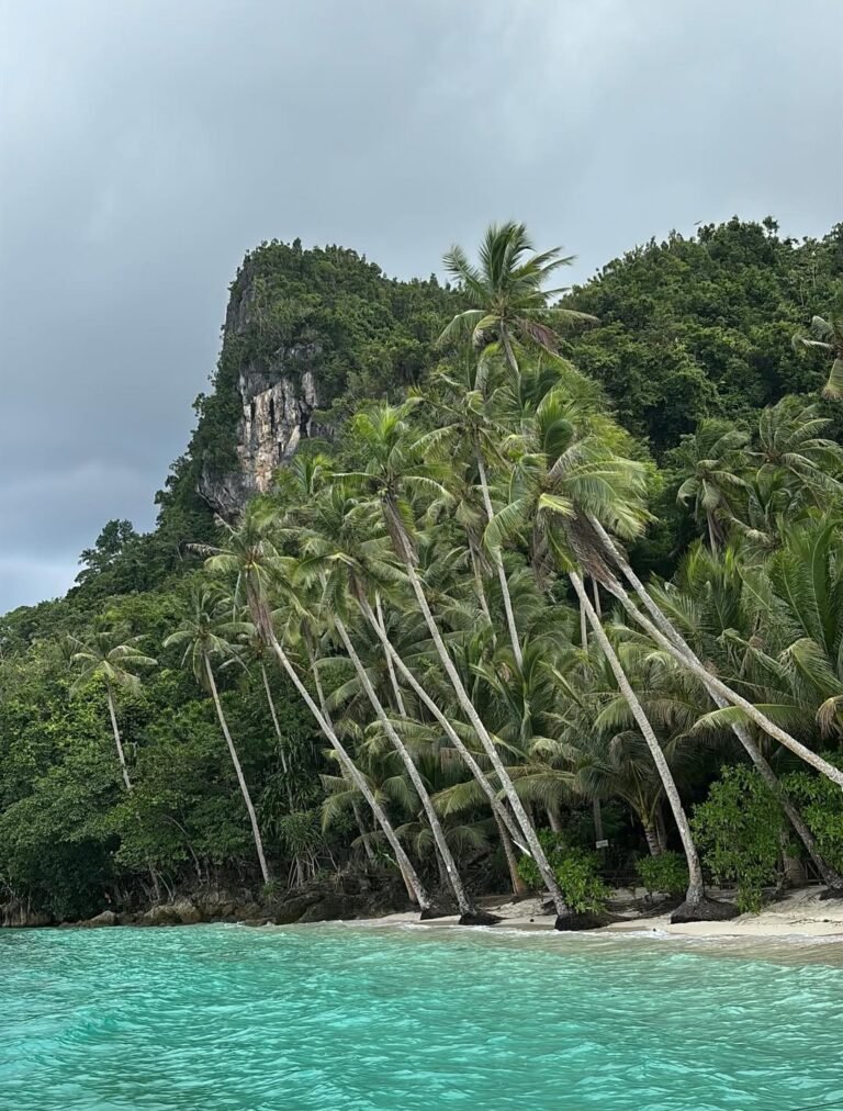 Dinagat Island