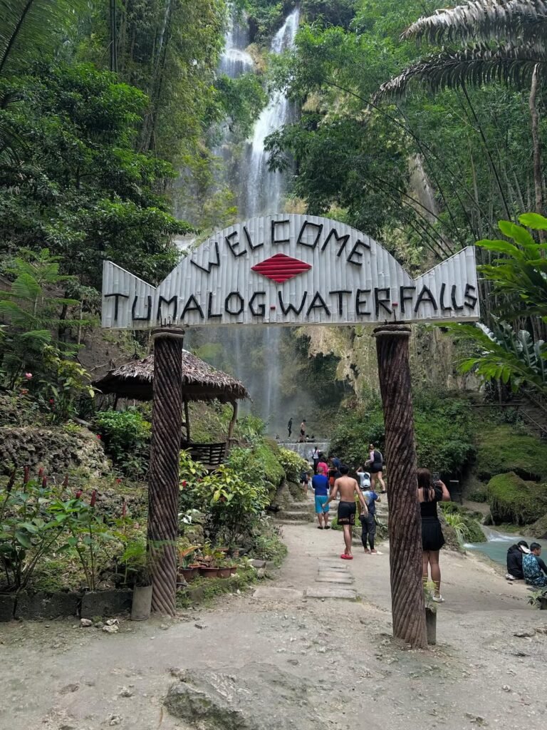 Tumalog Falls Photo