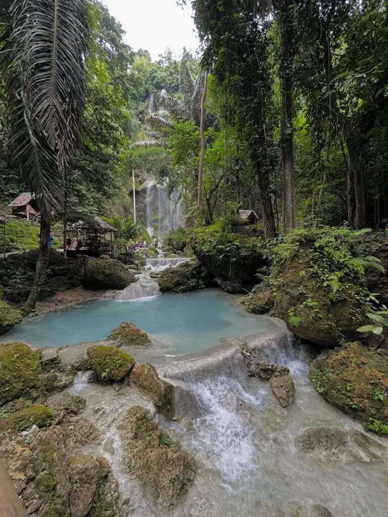 Tumalog Falls Photo