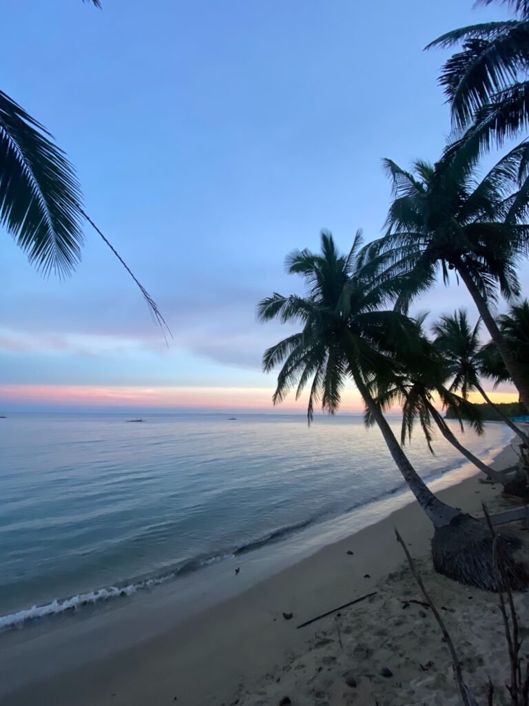 Polillo Island 2026 Photo