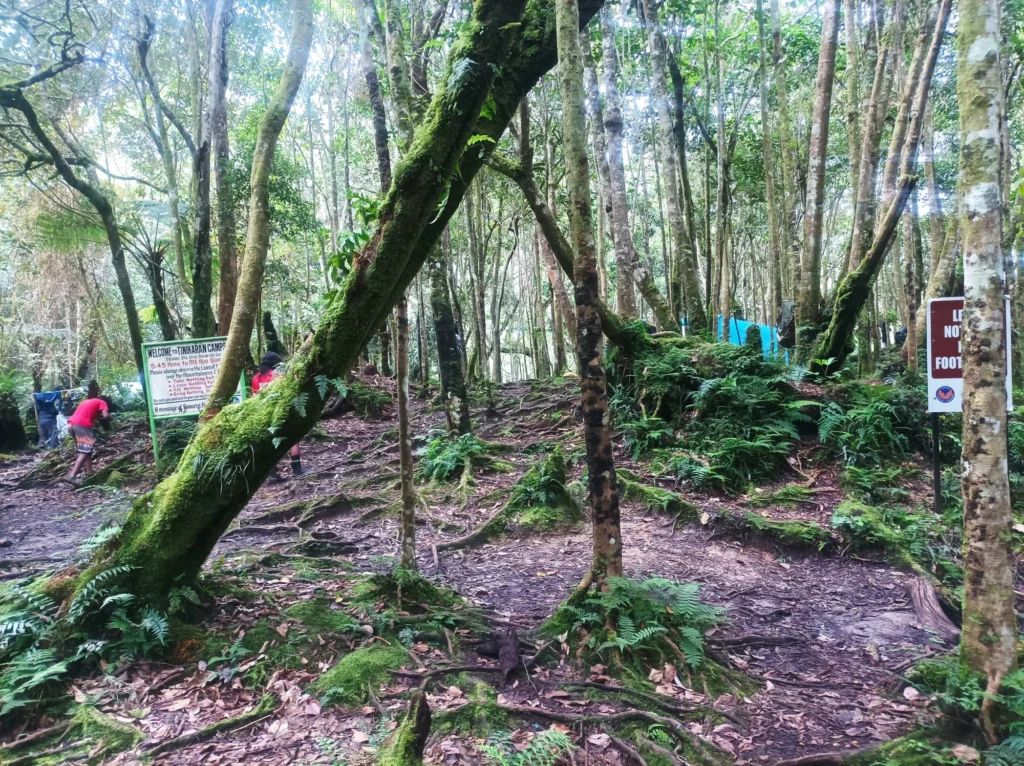 mt. apo venado lake 2026 camp