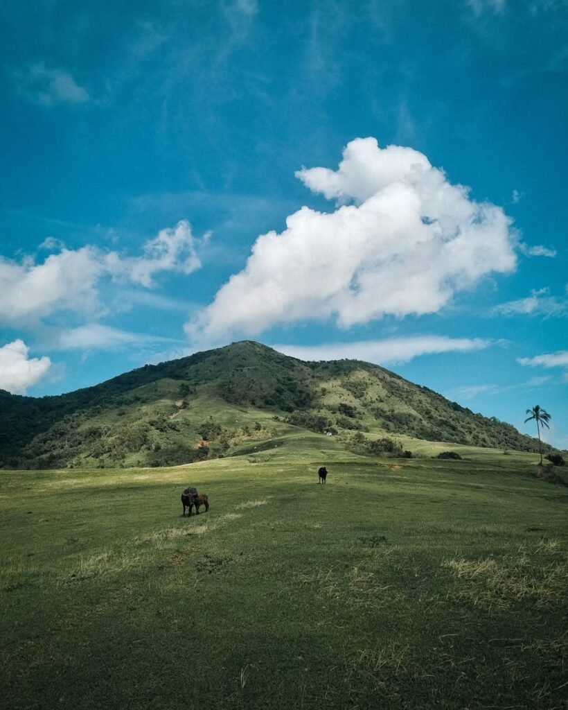 Hiker ascending the steep cogon grass trail of Mt. Talamitam with open ridgeline and blue sky in the background